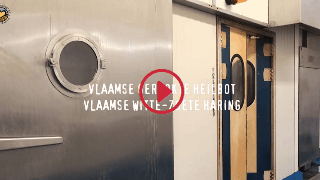 Overzicht videoreportages - Vlaamse gerookte heilbot en Vlaamse witte zoete haring